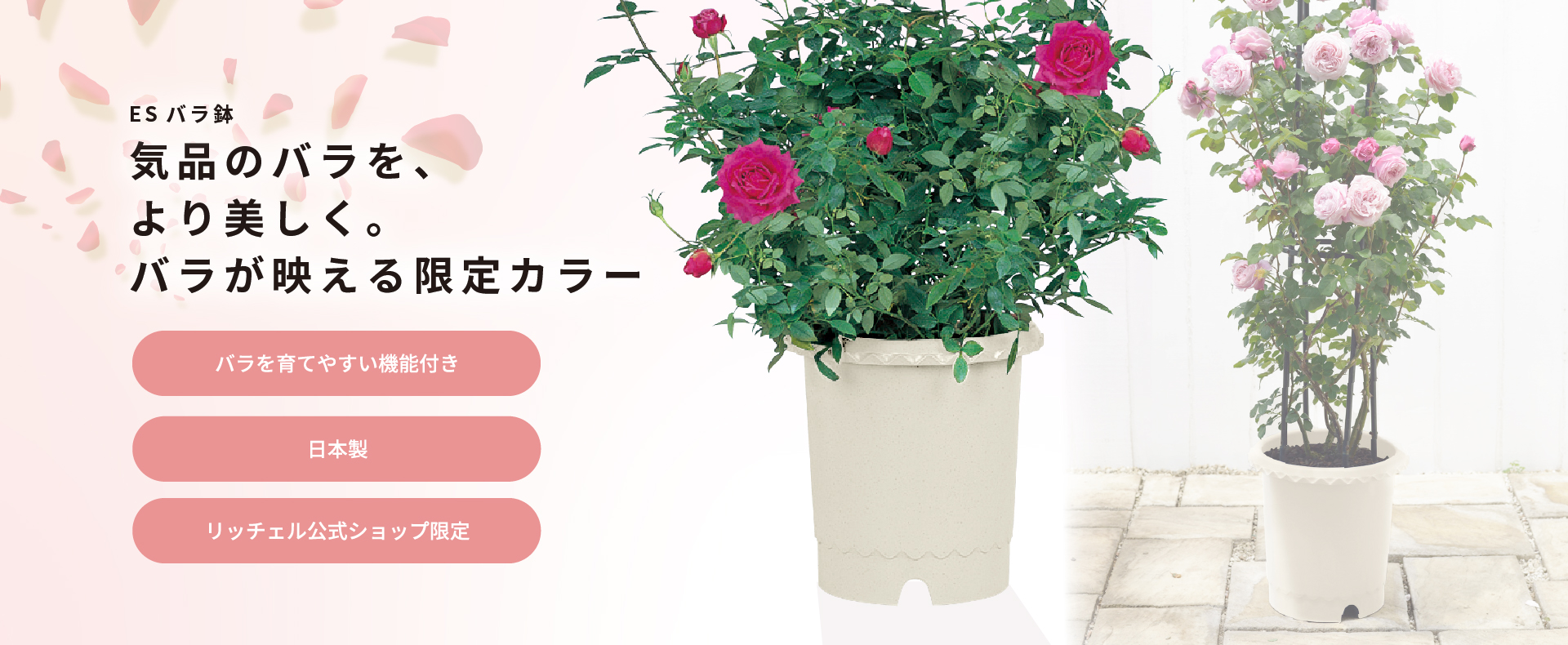 ガーデン用品：ES バラ鉢