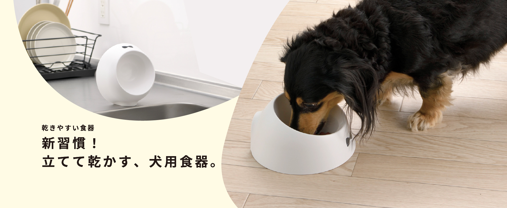 ペット用品：乾きやすい食器