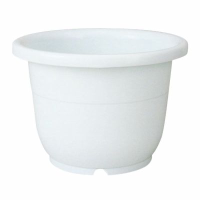 中国 輪花鉢 a1230903 工芸品